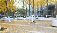 湖南省广播电视大学成人高考招生专业
